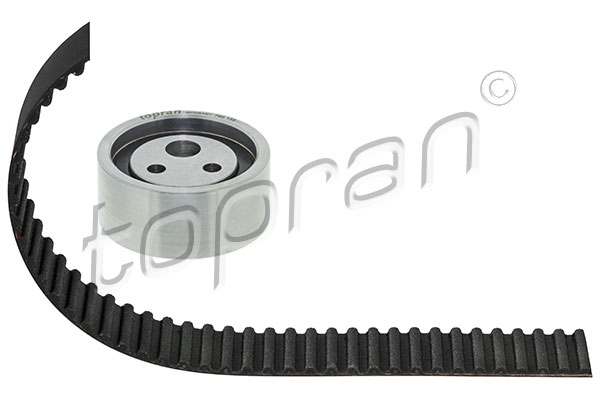 Timing Belt Kit (700 198)