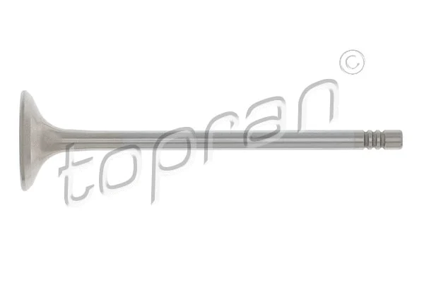 Exhaust Valve (205 579)