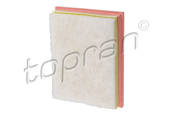 Air Filter (620 872)