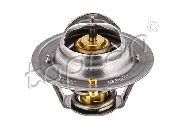 Thermostat, coolant (300 628)