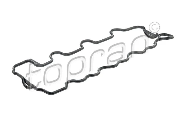 Gasket, cylinder head cover (401 455)