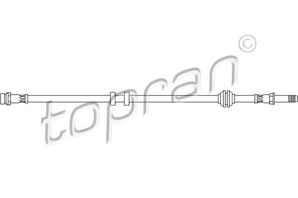 Brake Hose (300 641)