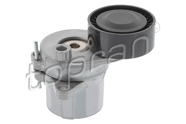 Belt Tensioner, V-ribbed belt (408 393)