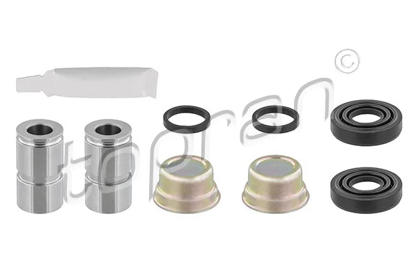 Repair Kit, brake caliper (202 444)