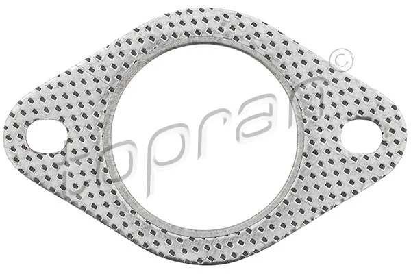 Gasket, exhaust pipe (302 245)