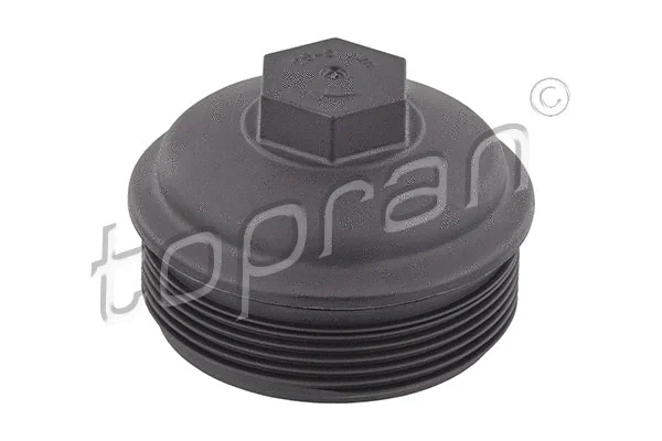 Cap, oil filter housing (115 040)