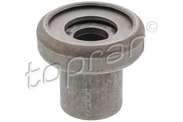 Mounting, control/trailing arm (103 341)
