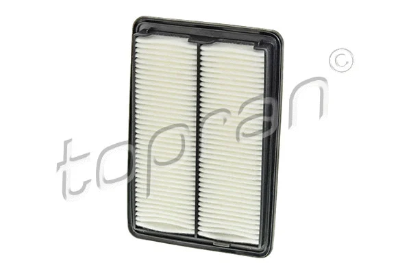 Air Filter (701 538)