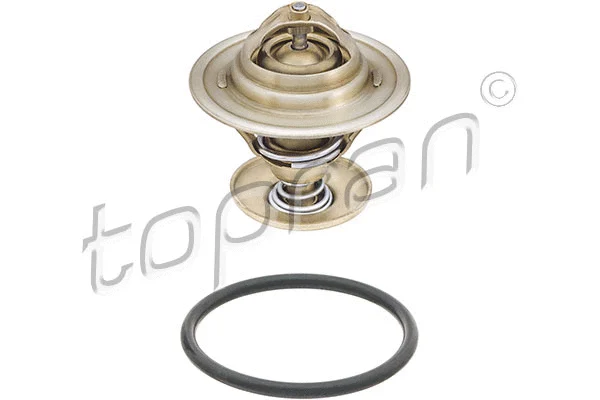 Thermostat, coolant (101 092)