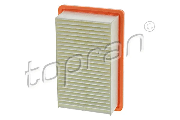 Air Filter (701 629)