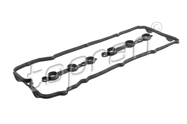 Gasket Set, cylinder head cover (501 250)