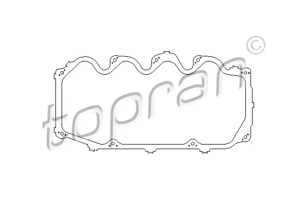 Gasket, cylinder head cover (300 156)