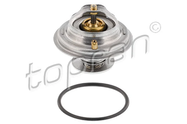 Thermostat, coolant (108 138)