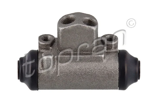 Wheel Brake Cylinder (821 269)