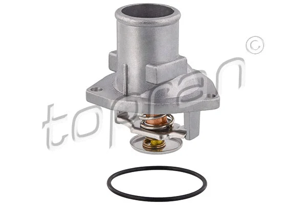 Thermostat, coolant (202 316)