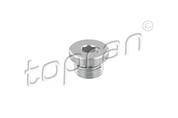 Screw Plug, transmission housing (503 554)