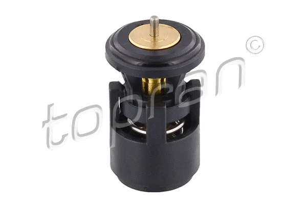 Thermostat, coolant (100 616)