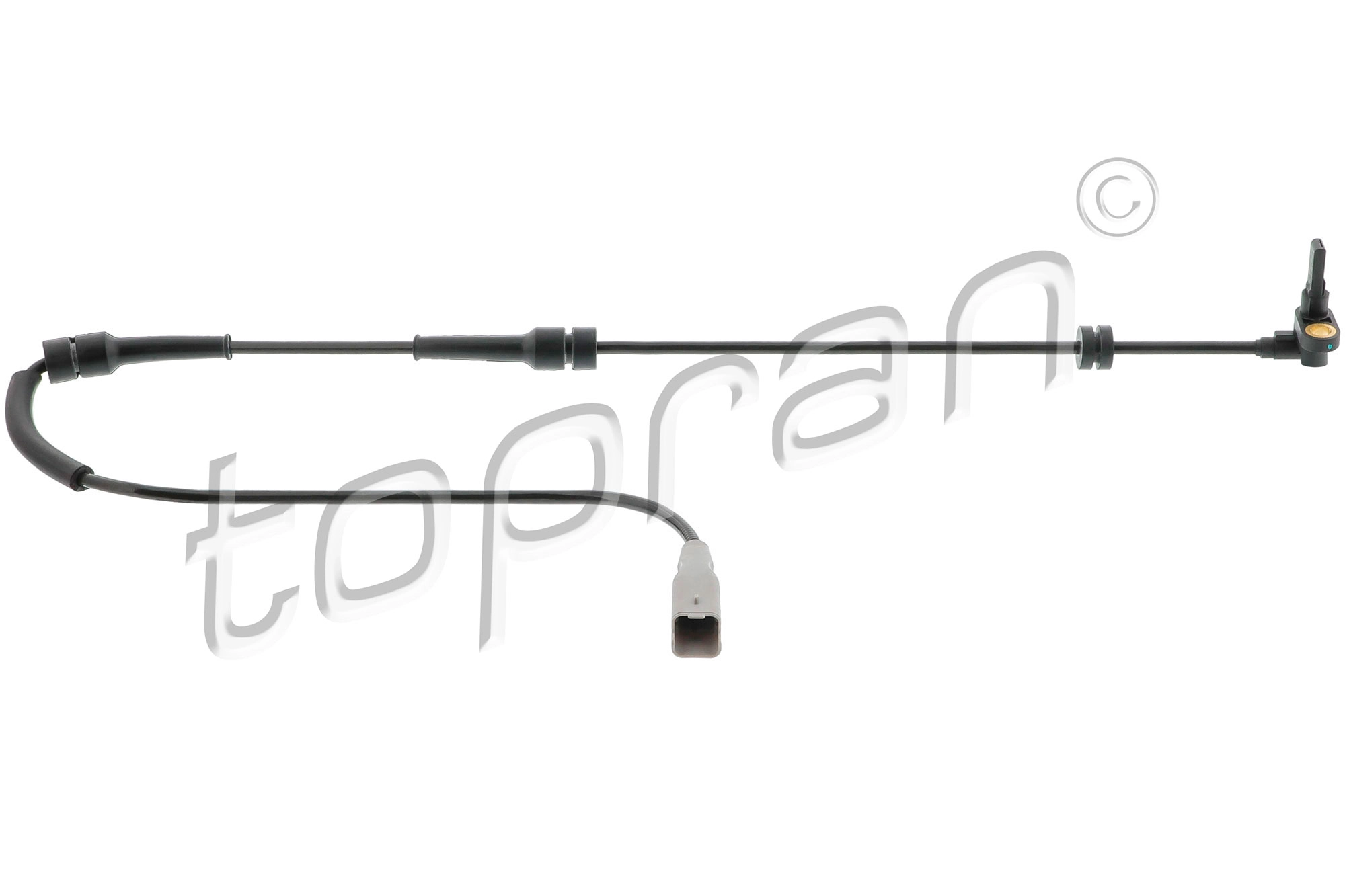 Sensor, wheel speed (722 806)