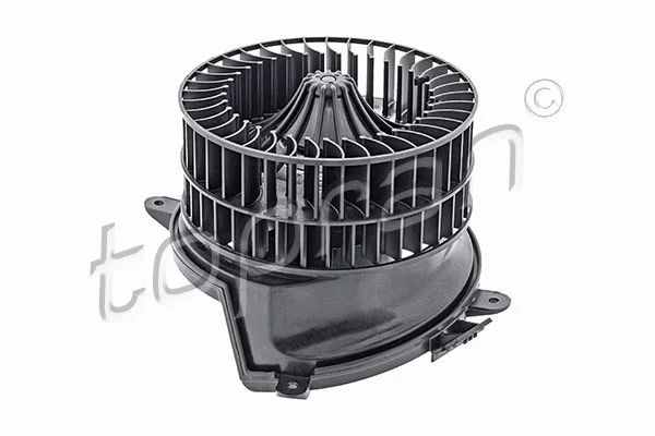 Interior Blower (408 905)