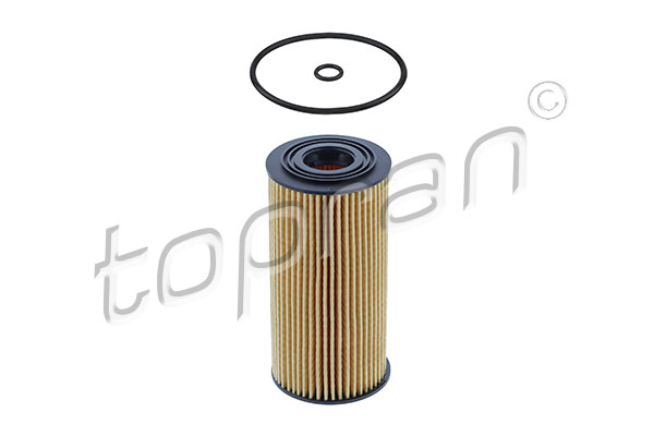 Oil Filter (820 671)