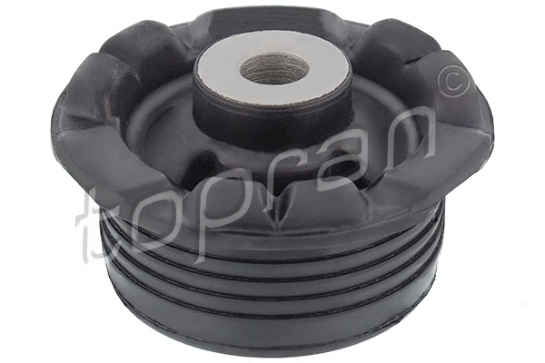 Bushing, axle beam (205 484)