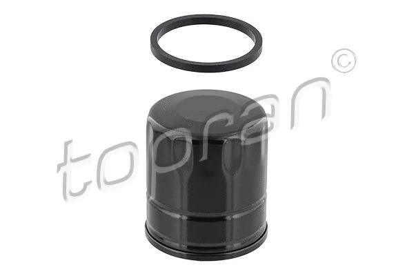 Oil Filter (302 134)