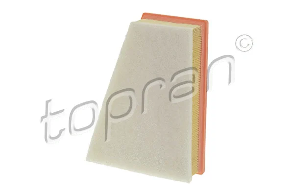 Air Filter (701 649)