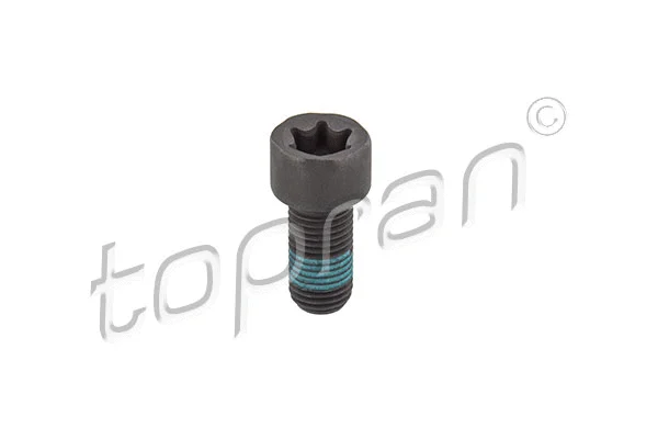 Flywheel Bolt (208 861)