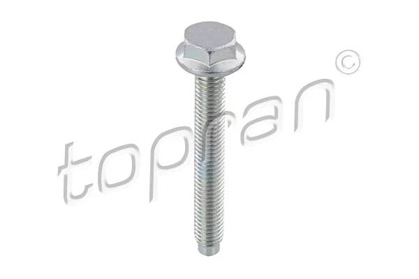 Screw (115 707)