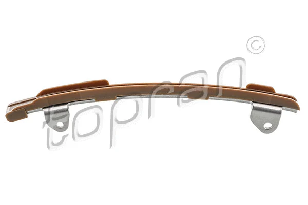 Guide, timing chain (600 800)