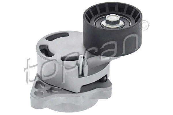Belt Tensioner, V-ribbed belt (208 415)