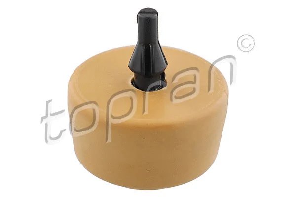 Bushing, leaf spring (113 448)