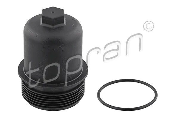 Cap, oil filter housing (119 098)