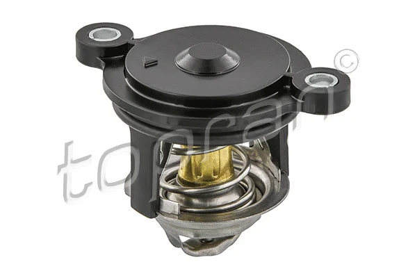 Thermostat, coolant (630 313)