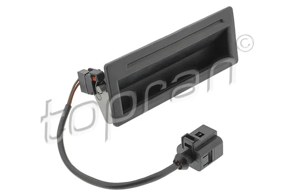 Tailgate Handle (119 639)
