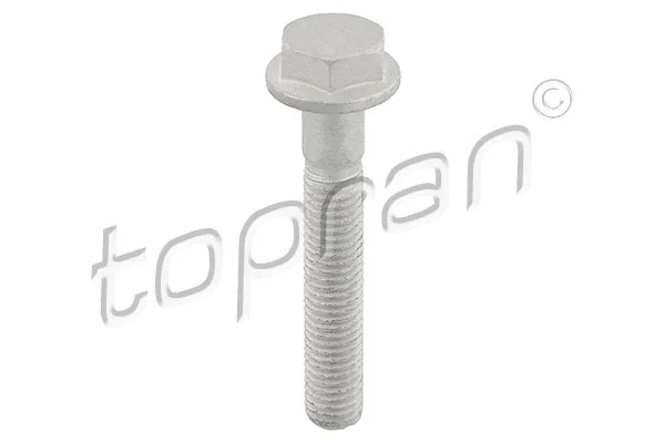 Screw (116 945)