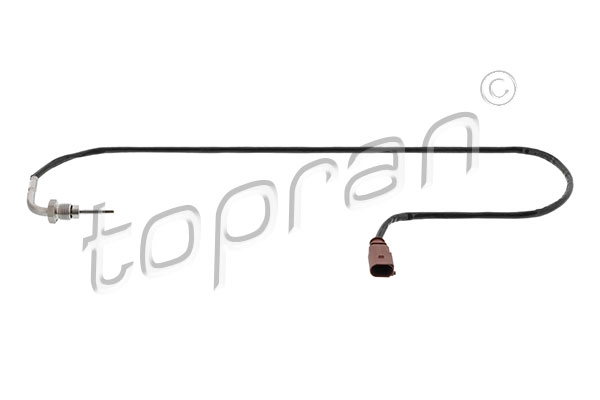 Sensor, exhaust gas temperature (119 990)