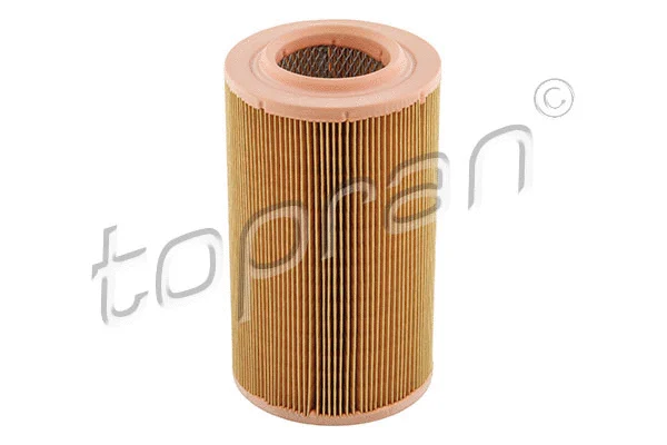 Air Filter (720 955)
