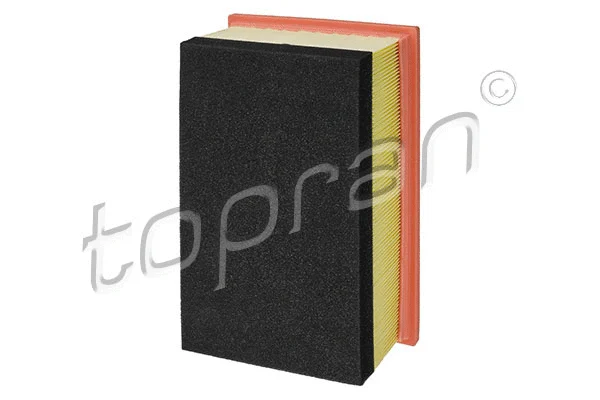 Air Filter (722 294)