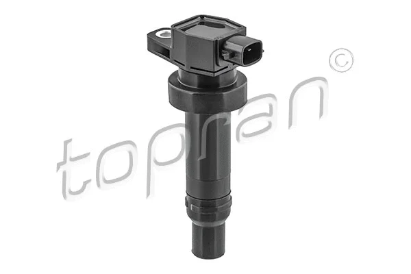 Ignition Coil (821 669)