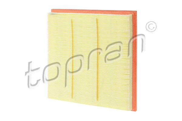 Air Filter (207 778)