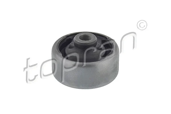 Mounting, control/trailing arm (300 038)