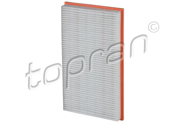 Air Filter (408 676)