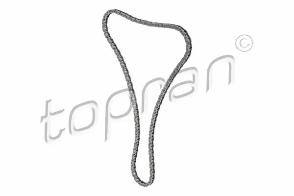 Timing Chain (723 850)