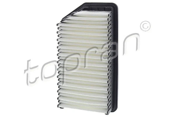 Air Filter (821 276)