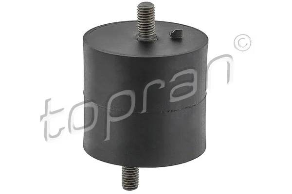 Mounting, engine (500 166)