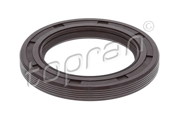 Shaft Seal, crankshaft (720 114)