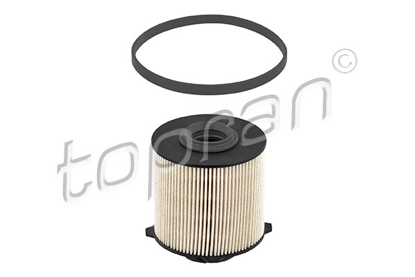 Fuel Filter (207 725)