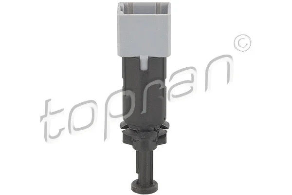 Switch, clutch control (cruise control) (207 195)