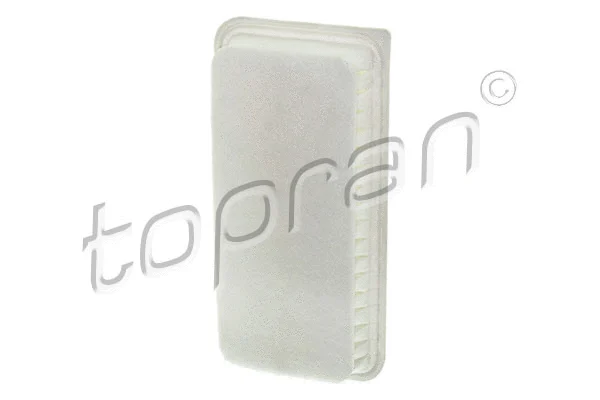 Air Filter (600 016)